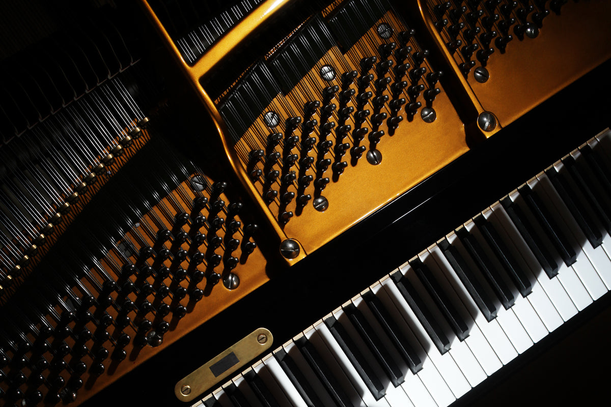 A close view of a grand piano’s strings, frame and keys