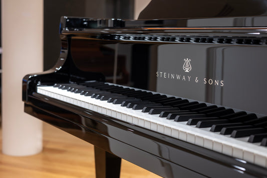Why You Should Hire Us to Move Your Piano in South Florida