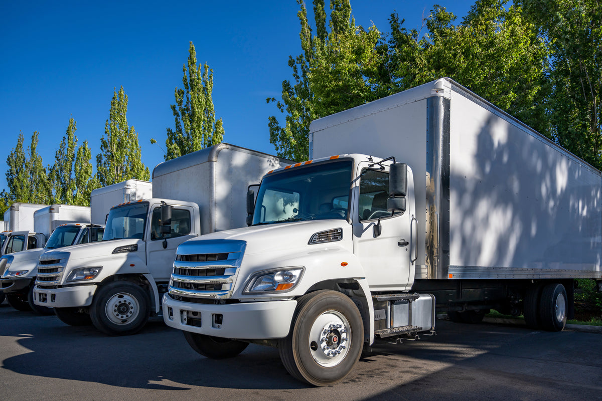 Moving trucks lined up and ready for the road